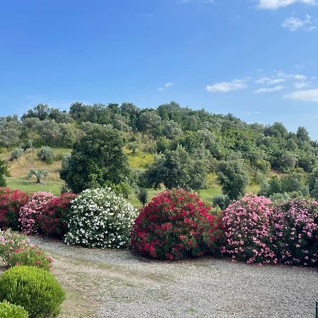 Tenuta Montemassi Podere Montauzzo Esterno foto