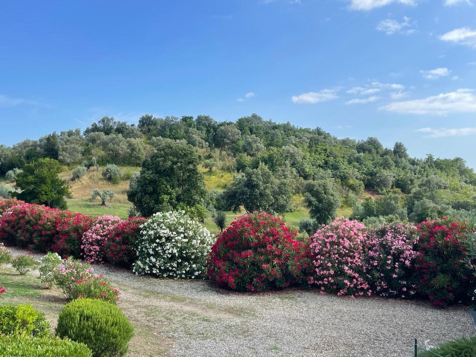 Tenuta Montemassi Podere Montauzzo Esterno foto